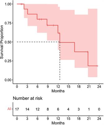 Stereotactic central/core ablative radiation therapy: results of a phase I study of a novel strategy to treat bulky tumor